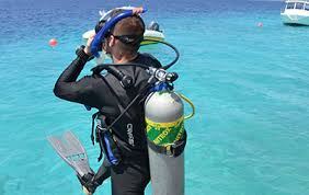 Image result for Dorking Snorkelling Club