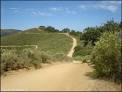 Hollister Hills SVRA - California Motorcycle and ATV Trails
