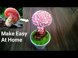 Attēlu rezultāti vaicājumam “Rhodotus palmatus”