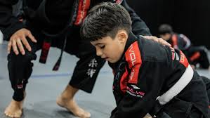 Image result for Intelligent Martial Arts