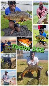 Image result for pheega