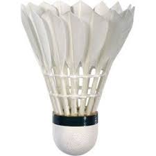 Image result for Glevering Badminton Club