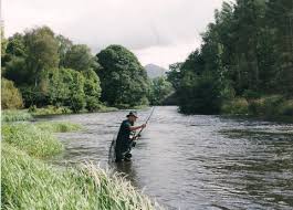 Image result for Runnymede Angling Association