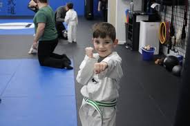 Image result for COURT FIELDS karate Academy