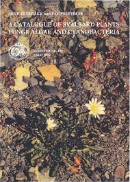 Attēlu rezultāti vaicājumam “Jungermannia sphaerocarpa sporophyte”