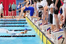 Image result for Cults Otters Amateur Swimming Club