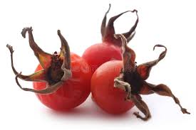 Attēlu rezultāti vaicājumam “Rosa majalis fruit”