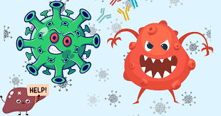 Image result for фотография вируса вич