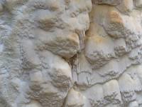 Attēlu rezultāti vaicājumam “Skeletocutis odora”