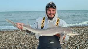 Image result for Bexleyheath and District Sea Angling Society