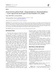 Attēlu rezultāti vaicājumam “Jungermannia sphaerocarpa sporophyte”