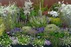 Welcome to Jekka's Herb Farm | Specialising in Organic, Culinary ...