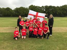 Image result for Redlynch and Hale Cricket Club