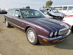 Image result for Amananth Purple 1999 Jaguar