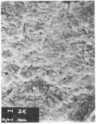 Image result for SEM micrographs of Novaculite Arkansas