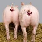 Humor - via Daymix