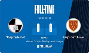 Image result for Timsbury Athletic Youth FC