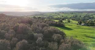 Image result for Guiseley Field Target Club GFTC