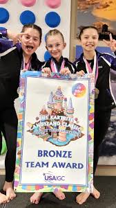 Image result for Zodiac Gymnastics Club