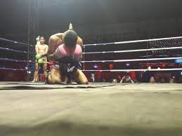 Image result for Kao Loi Thai Boxing