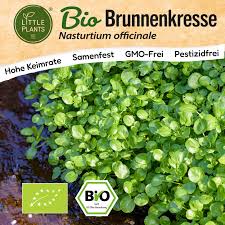 Image result for Brunnenkresse