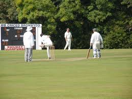 Image result for Bronwydd Cricket Club