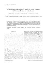 Attēlu rezultāti vaicājumam “Gymnostomum calcareum”