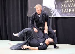 Image result for M-S-N Ninjutsu (Bujinkan) Club