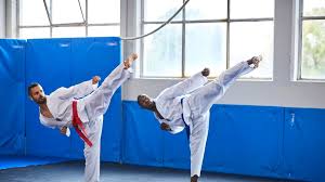 Image result for COMBAT TAEKWONDO