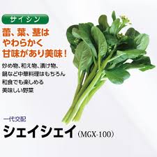 「シェイ・シェイ」の画像検索結果