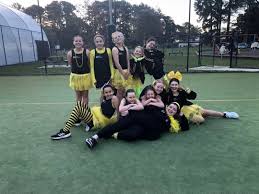 Image result for Brighton Netball Club