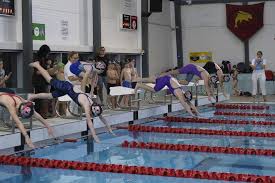 Image result for Kingsbury Aquarius Swimming Club