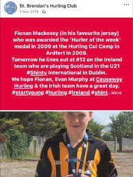 Image result for Causeway Hurling Club