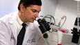 Dr. Joshua Hare at the University of Miami works on stem cell therapies for ... - story.hare.miami