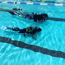 Image result for Meadurst Sub-Aqua Club