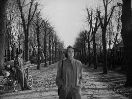 Image result for the third man