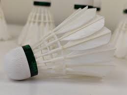 Image result for Shuttles Badminton Club (Frome)