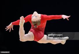 Image result for West Lothian Artistic Gymnastic Club
