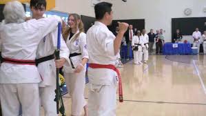 Image result for Aylesbury Vale Seido Karate