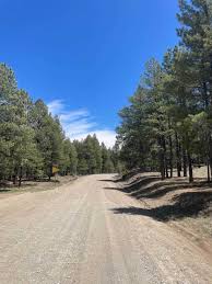 Image result for Ashurst WI*