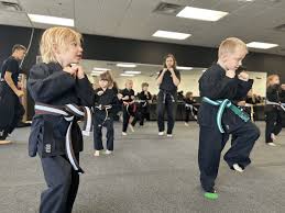 Image result for Martial Arts Karate Mesa AZ