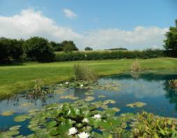 Image result for Coed-Y-Mwstwr Golf Club (1988) Ltd