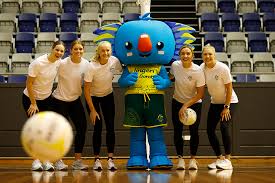 Image result for Hyde Netball Club
