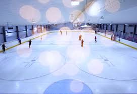 Image result for Streatham Night Wolves Ice Hockey Team