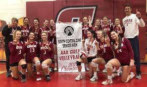 Image result for Cheltenham Cobras Volleyball Club