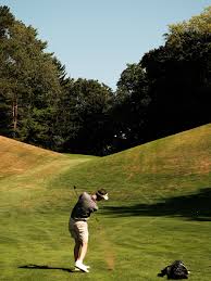 Image result for Norfolk Pikes Octopush Club