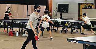 Image result for Dml Woolwell Table Tennis Club