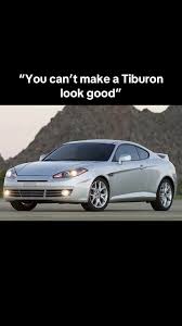 Image result for tuscani tibu...start=0