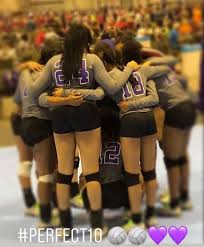 Image result for Chesterfield Cobras Volleyball Club