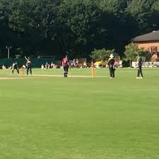 Image result for Wimbledon Cricket Club
